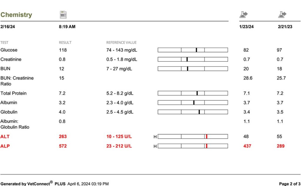 Abigail Bloodwork