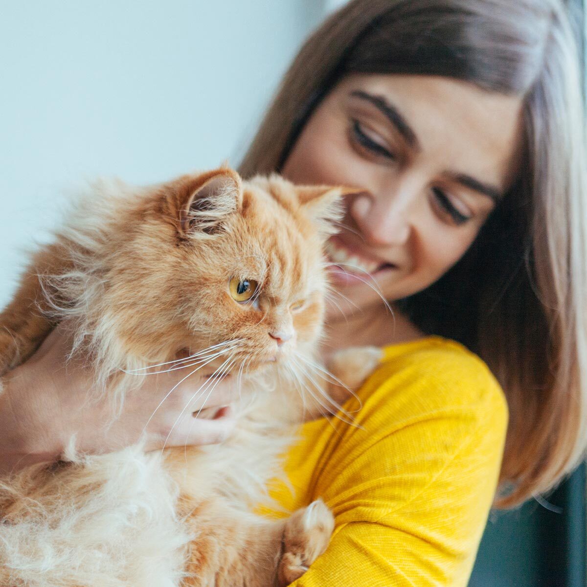 happy woman holding fluffy orange cat