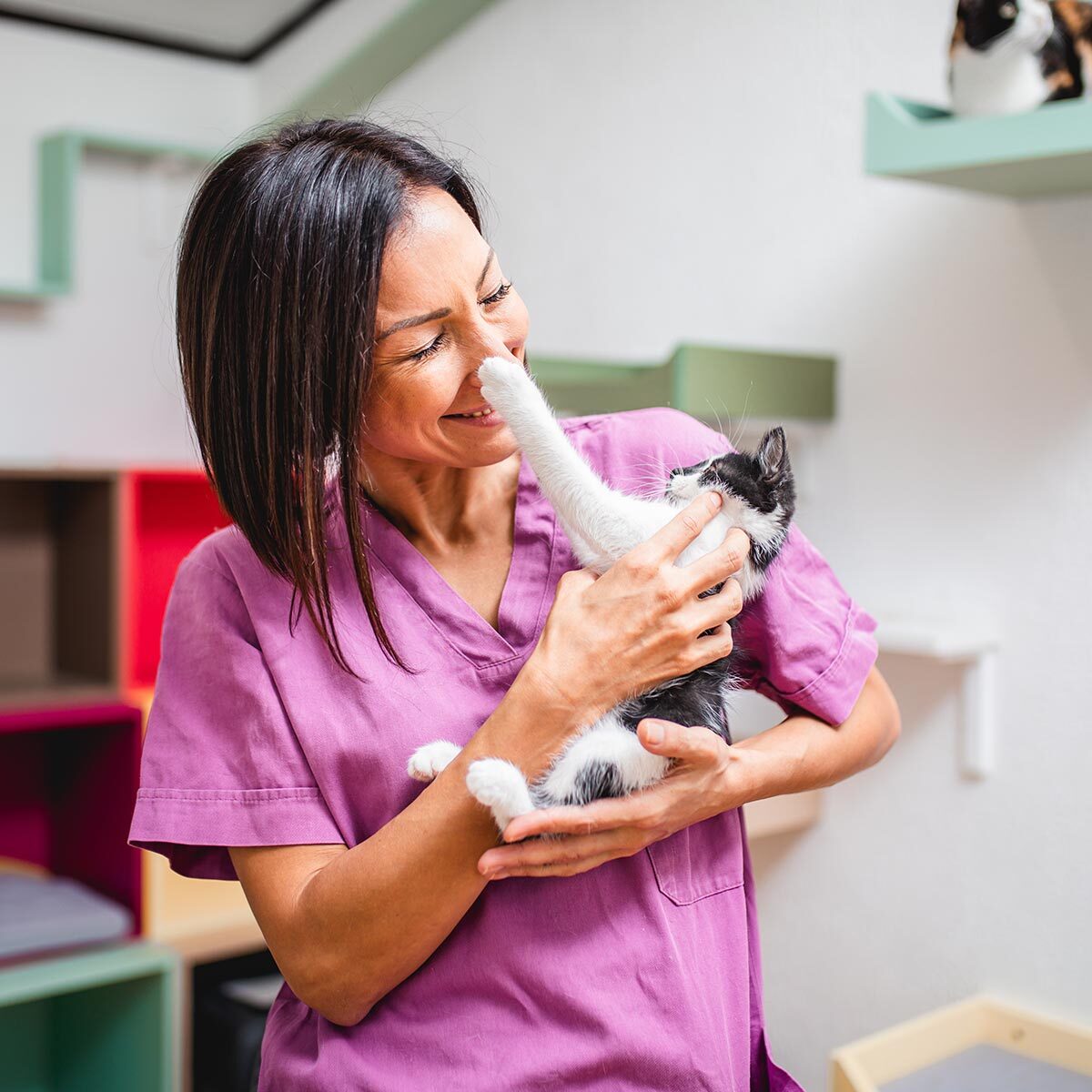 Happy Female Veterinarian Playing With Kitten