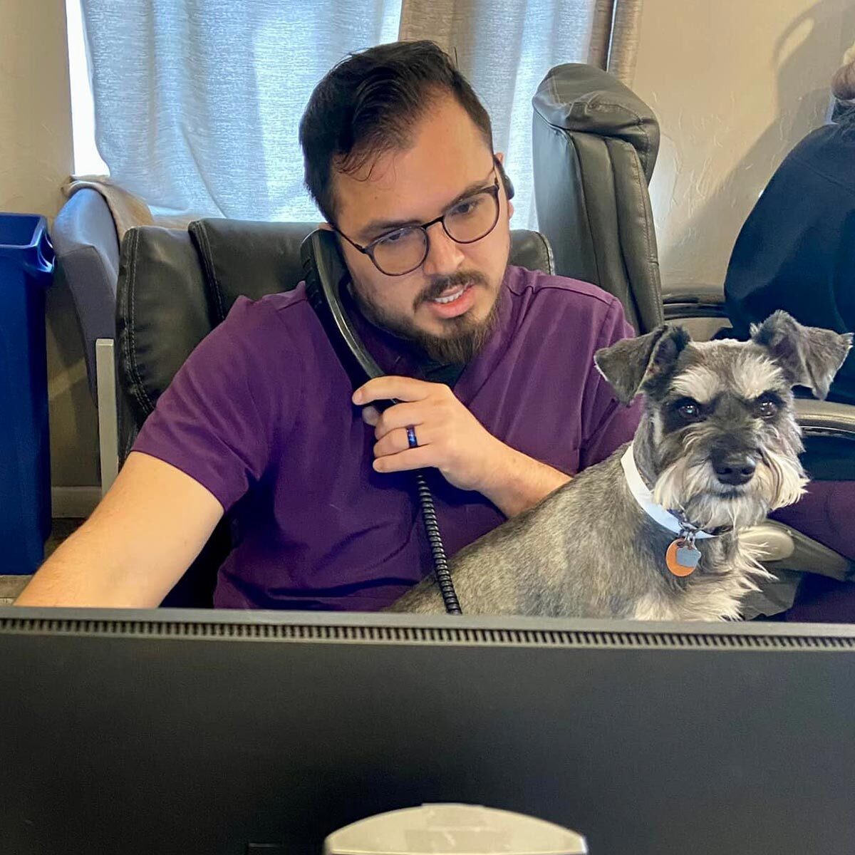 Male Receptionist Talking On Phone With Small Fluffy Grey Dog In Lap