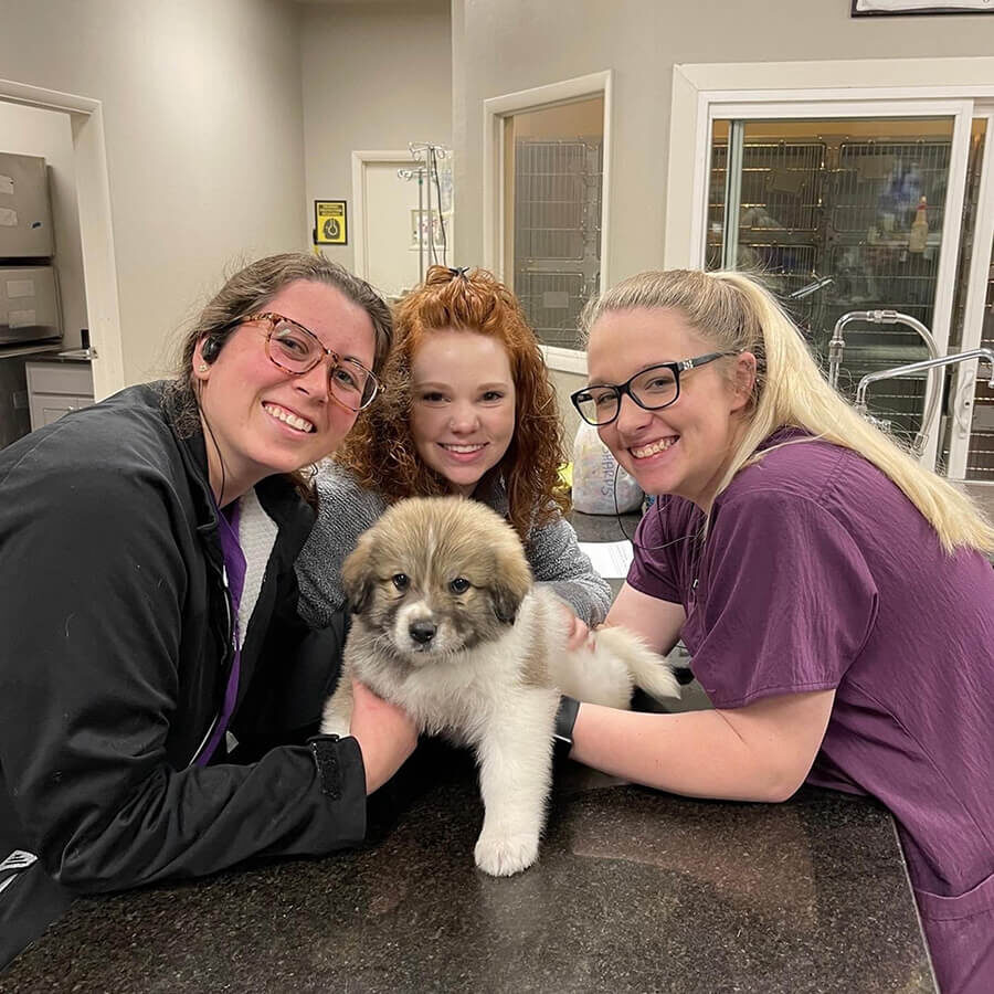 Three Female Veterinary Techs With Puppy